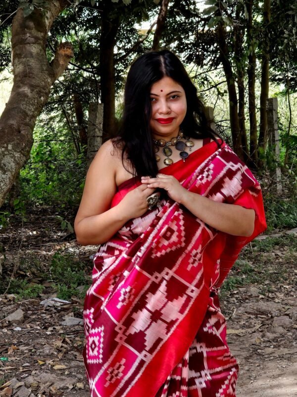 Odisha Delight - Image 3